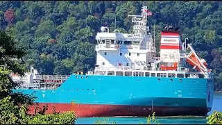 🚢GOLDEN BANYAN Oil/Chemical Tanker Traveling South on the Hudson River🛳️