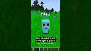 I MINI YOUTUBERS SU MINECRAFT
