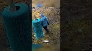 Животные почувствовали УСТАЛОСТЬ хозяйки😭🔥❤️