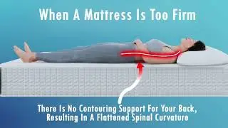 Back Science Mattress Info