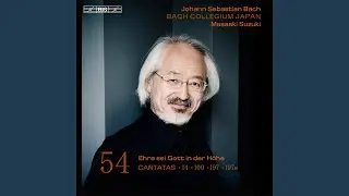 Gott ist unsre Zuversicht, BWV 197: Aria. Vergnügen und Lust