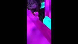 Meta Quest Broadcast | Powered by LIV