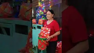CHRISTMAS PARTY AT CATS88 SANCTUARY. Pets are already sleeping. 