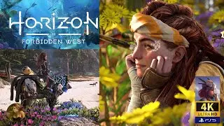 HORIZON Forbidden West ➤ PS5 | 4K ➤ Прохождение на 100% c DLC NG+ ➤ Новогоднее Начало ➤ Серия 6