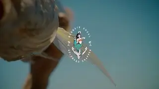Mermaid Shoal | Official Short Film