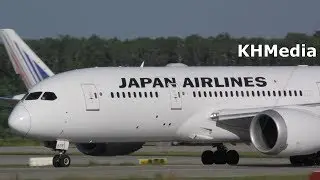 Boeing 787-8 Japan Airlines Домодедово 2017 B787-8 B788 JAL DME Domodedovo Dreamliner
