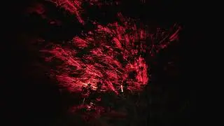 230v RGB Uplighters and Floodlights Video