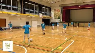 Astera #18
