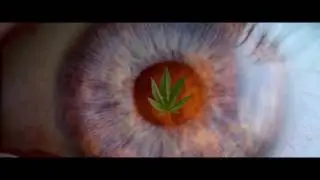 Have you ever seen the Portal?