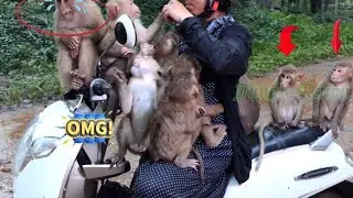 OMG! Look Sovana happy face so funny, All babies Abandon not allow mom KT go back, Need more foods