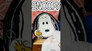 Snoopy Crossbody Bag from My Collection #snoopy #thepeanuts