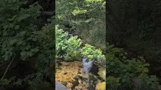 Vevchani Springs #Shorts #Nature #Macedonia