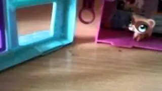 Yeni MİNİŞ EVİ