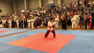 ISKA World Cup 2023 - World Champion Traditional Forms - First Place