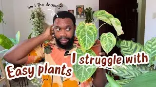 Plants everyone else can grow except me ! Easy plants I struggle with!