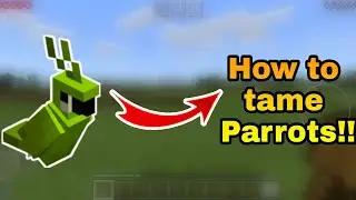How To Tame A Parrot In Minecraft!!! | All Details About Them | Pros And Cons | Detailed Explanation