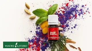 Meet your goal-getting sidekick: Ignite Your Journey essential oil blend!