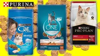 CAT CHOW, PURINA ONE y PROPLAN. &iquest;Comprar&iacute;a alimento seco de PURINA para mis gatos?
