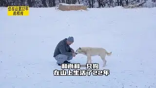和尚住在山上22年，和他一起的有一只狗和一只乌鸦