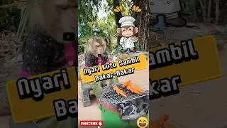 POV : Master Chef Monkey  part I #funniestpets #monkeyvideo #shortvideo #fypシ゚ #viralvideos