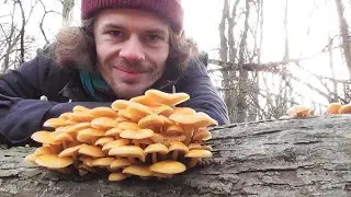 Pilze im Winter - Pilze, N&uuml;sse und Badezusatz im Dezember