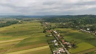 Drone Parrot Disco FPV - The first flight, an unprecedented captivating flight experience!