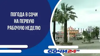 Погода в Сочи на первую рабочую неделю