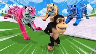 Temple Run Funny Monkey Run away From Zombie Tigers | Gorilla vs Giant Tigers  Animal Fight