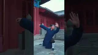 The Eight Methods of Wudang Tai Chi#Cultivation#Tai Chi#Boxing#Taoist health preservation#