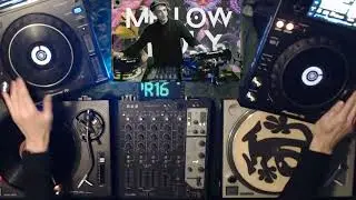 Mellow Poly Live Stream (MPLS5) 2h of Deep Tech-House w./ Fruit M&ucirc;R & VivalDisc (Trial Presence)