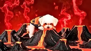 GIANT DOG Destroys City & Eats Trains! 😱 Fantasy ASMR Adventure (Satisfying)