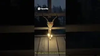 I'm seeing too many strange things in this game👻💀#scary #secret #gaming