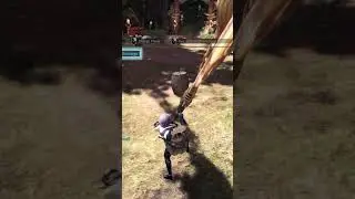 Some Charge Blade auto guard point after a combo (shield facing enemy)