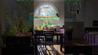 Indoor Hydroponic Gardening for Winter #winter #freezing #gardening #diy #hydroponics #indoorplants