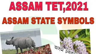 ASSAM | TET | MOST IMPORTANT | QUESTIONS | #ATET 2021 |