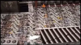 How Panini Manufactures Sports Cards - A look behind the Scenes