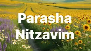 YMCM Parasha Nitzavim
