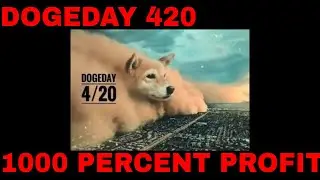 DOGECOIN 420 DOGE DAY 420 DOGECOIN DAY 1000 Percent Profit Crypto Call in Dogefi Doge $1 Dollar