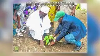 2022 EKiti 5000 Tree Planting Evaluation at Igbemo-Ekiti