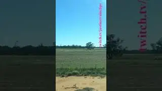 Steamrails Members Trip Wycheproof 2024 #shorts #shortvideo #victoria #train #windowview #travel