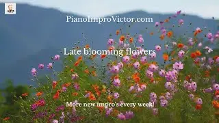 Late Blooming Flowers - Improvised Piano Piece