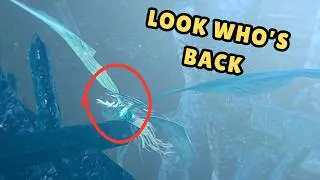Crystal Cave Confusion in Dark Souls