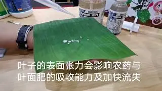 X-Sorb 100 有机硅表面活性剂 Silicon Surfactant