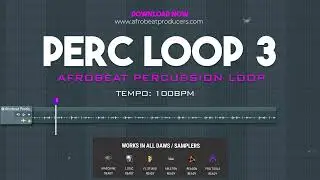 Free Download Tems Type Beat Percussion Loop 100% Royalty Free | Tems Type Beat | 