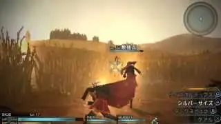 Final Fantasy Type-0 HD Sice