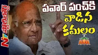 Special Story On Sharad Pawar Game Plan In Maharashtra Politics | Story Board | NTV