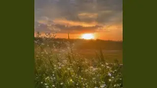 summerfall (Speed Up)