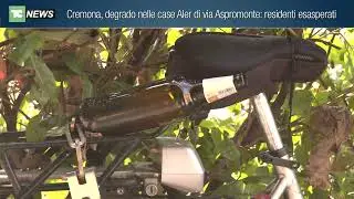 Cremona, degrado nelle case Aler di via Aspromonte: residenti esasperati