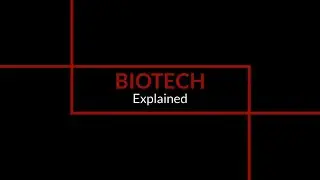 Cell Cultures and Scaffold Engineering