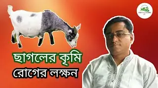 Goat farming | ছাগলের কৃমি রোগের লক্ষন ও প্রতিকার